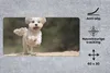 MuchoWow® Mauspad Mousepad Ein Shih Tzu Hund hüpft durch Produktbild-Vorschau 2
