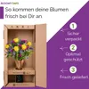 Blumenstrauß Von allem das Beste | Geschenk - frische Produktbild-Vorschau 6