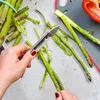 WESTMARK pelapatate per asparagi in acciaio inox Anteprima dell’immagine prodotto 6