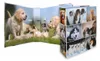 HERMA Motivordner "Animals" DIN A4 Hunde Produktbild-Vorschau 12