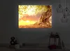 lightbox multicolor | Beleuchtetes Wandbild | Verwurzelter Produktbild-Vorschau 4