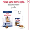 Royal Canin Maxi Adult 5+, Dorosły, Maxi (26 - 44 kg), Podgląd zdjęcia produktu 9