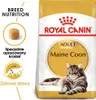 Royal Canin Feline Maine Coon - 2 kg Podgląd zdjęcia produktu 2
