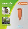 Watering cones "Hydro Wine" set of 4 Anteprima dell’immagine prodotto 10