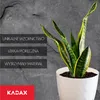 KADAX Blumentopf aus Kunstsoff "Amily", Topf mit Produktbild-Vorschau 7