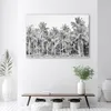 Leinwandbild Schwarze und weiße Palmen im Dschungel 120x80 Produktbild-Vorschau 2