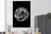 MuchoWow® Poster Blumen - Rose - Schwarz - Weiß - Botanisch Produktbild-Vorschau 2