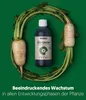 BioBizz® Flüssigdünger Starter-Set, Dünger Grow-Set für Produktbild-Vorschau 3