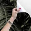 Coloray Fototapete 360x250 cm Vlies-Fototapete - Monstera Produktbild-Vorschau 3