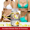 Breast Enhancement (120 Kapseln) Nahrungsergänzungsmittel, Produktbild-Vorschau 6