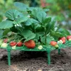 Flamenco Mystique Pflanzenständer, Stütze für Erdbeeren 30 Produktbild-Vorschau 3