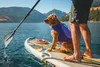 Ruffwear Float Coat Schwimmweste, Farbe:Red Sumac, Größe:M Produktbild-Vorschau 2