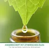 Air Wick Freshmatic Max Nachfüller 2x Tag am Meer 250ml Produktbild-Vorschau 8