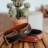Hunter Halsband Canadian Up schwarz/cognac Produktbild-Vorschau 14