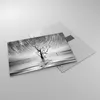 Bilder auf glas - Einteilig - Schwarzweiß Baum See - Produktbild-Vorschau 2