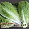 Samenliebe  Salat Samen | Bionda Degli Ortolani - Produktbild-Vorschau 4