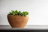 Capi Europe - Topf oval Retro  - Kupfer - 59x14x34 Produktbild-Vorschau 2