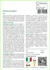 SAFLAX  - Piante da ombra - 1000 semi - Mix Anteprima dell’immagine prodotto 3
