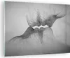 Bilder auf glas - Einteilig - Kuss Liebe Paar - 70x50cm - Produktbild-Vorschau 1