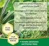 Substral Blattglanz Spray 200  ml Produktbild-Vorschau 3