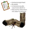 Aquarium Deko Höhle Röhre Reptilien Wurzel Ast Holz Produktbild-Vorschau 5