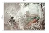 Muralo Selbstklebende Fototapete Für Wohnzimmer PFAU Produktbild-Vorschau 2