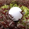 Lampada solare da giardino - set sferico da 6 pz. 23562 Anteprima dell’immagine prodotto 7