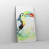 Bild auf Leinwand - Leinwandbild - Vogel Toucan Neugier Produktbild-Vorschau 4