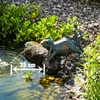 A bronze frog statue is placed next to a pond, with water spraying from a rock near it. The scene is surrounded by greenery and pebbles. Produktbild-Vorschau