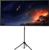 Celexon 1091745, Manuell, 121 cm, 194 cm, 16:10 Produktbild-Vorschau 5