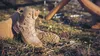 A pair of beige tactical boots are placed on the ground amidst dry grass and twigs, with a blurred wooden structure in the background. Produktbild-Vorschau