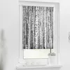 Rollo Klemmfix, ohne Bohren, blickdicht, Birken - 45 x 150 Produktbild-Vorschau 4