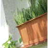 Prosperplast Pflanzgefas - Terrakotta - 50 x 18 x 14 cm Produktbild-Vorschau 2