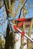 WOLF-GARTEN MS-Profi-Baumschere RC-VM multistar Produktbild-Vorschau 7