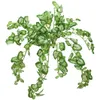 EUROPALMS Cespuglio di Nephthytis, artificiale, 50 cm Anteprima dell’immagine prodotto 1
