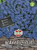 SPERLI Männertreusamen Kristallpalast Lobelia erinus 90 Produktbild-Vorschau 3