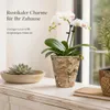 Harztopf für Orchideen – Pflanztopf in Steinoptik Vintage Produktbild-Vorschau 6