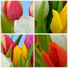 Gerahmtes Poster - Rahmen in heller Eiche - Tulpen Produktbild-Vorschau 8