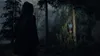 A person in a dark hooded jacket stands in a dark, misty forest, looking towards two glowing, star-shaped objects hanging from a tree. The objects appear to be some kind of collectible or in-game item. Podgląd zdjęcia produktu