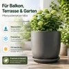 Pflanztopfuntersetzer Mira Anthrazit Ø 49cm - Frostsicher & Produktbild-Vorschau 2