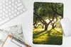 MuchoWow® Mauspad Mousepad Bäume - Natur - Sonne 18x27 cm - Produktbild-Vorschau 5