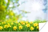 MuchoWow® Poster Blumen - Frühling - Gelb 30x20 cm - Produktbild-Vorschau 1