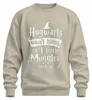 Como Hogwarts no estaba contratando, opté por enseñar a Vista previa de la imagen del producto 1