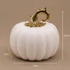 LED Porzellan Kürbis Weiß Gold Groß Herbstdeko mit Produktbild-Vorschau 2
