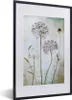 MuchoWow® Gerahmtes Poster Blumen - Dekorative Zwiebel - Produktbild-Vorschau 1