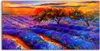 Coloray Spritzschutz aus Glas 100x50  Wandkunst Produktbild-Vorschau 1