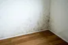 A corner of a room with mold on the walls and a wooden floor. Produktbild-Vorschau