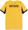 Puma Borussia Dortmund Cup BVB Jersey 25/26 Trikot 3rd Produktbild-Vorschau 2