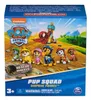 SPIN MASTER Paw Patrol Personaggio a sorpresa 6069661 Anteprima dell’immagine prodotto 10