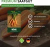 Möhren lange rote Stumpfe ohne Herz 2 Samen - Daucus carota Produktbild-Vorschau 8